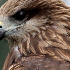 Михаил Малышев, 17.03, Уфа