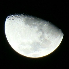 Роман Солтанов, 19.02, Самара