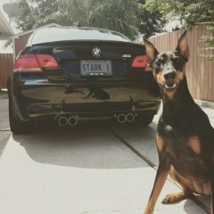 Даурен Курмангали, 30.07