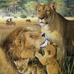 Radik Gangsta, 26.07, Dortmund