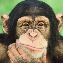 Батыр Тугулов, 18.10.1985, Нальчик