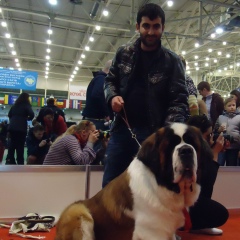 Irakli Gongladze, 11.05.1990, Донецк