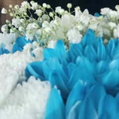 Ирина Ловилова, 26.10, Орёл