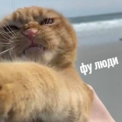 Евгений Еремин, Подольск