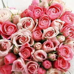 Карина Мехманкулова, 21.07, Шымкент