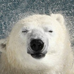 Саша Калюжный, 18.03.1981