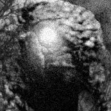 Гигантский Индюк, Санкт-Петербург