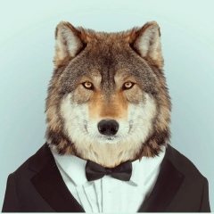 Аза Волк, 04.06