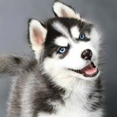 Василий Хромов, 14.04.1982, Волхов