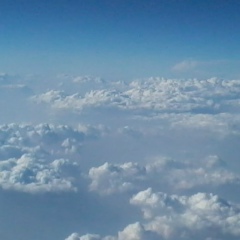 Asem Bakbergenova, 28.06, Шымкент