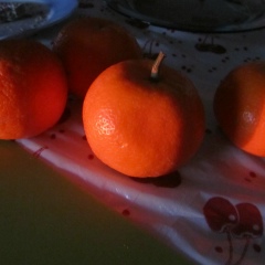 Ася Кицио-Горинштейн, 21.10.1969, Полтава