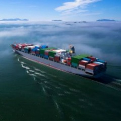 Виталий Големинов, 28.01.1977, Санкт-Петербург