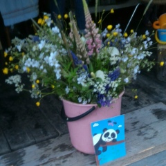 Юлия Прибыткина, 27.06.1975, Санкт-Петербург