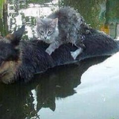 Андрей Мартынов, 06.01.1987, Санкт-Петербург