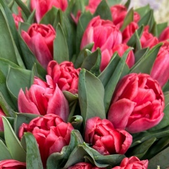 Алевтина Мельникова, 15.02, Нерюнгри