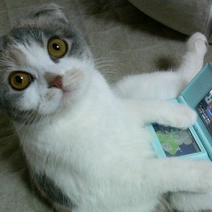 Елизавета Шер, 15.04.1962, Санкт-Петербург