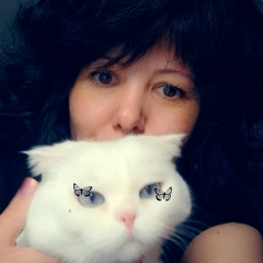 Жамила Терина, Ломоносов