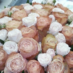 Вероника Быкова, 13.11, Санкт-Петербург