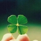 Александр Деловнезнаю, 06.07.1990, Екатеринбург