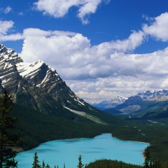 Александр Колос, Екатеринбург