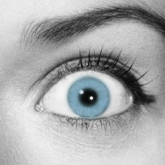 Nour Ramez, Alexandria