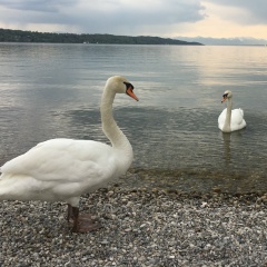 Дарья Дарьина, 24.05, Киев