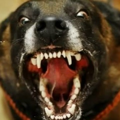 Наталья Солнцева, 20.06, Москва