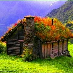 Жанна Томилова, 29.02