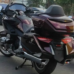 Frédéric Diefenthal, Владикавказ