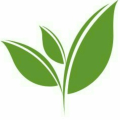 John Novski, Pyin Oo Lwin (Maymyo)