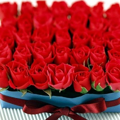 Яна Нарась, 31.10.1987, Днепр (Днепропетровск)