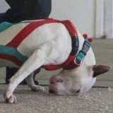 Михаил Нефёдов, 05.03, Анапа