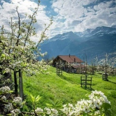 Myo-Zaw Tun, 16.12.1976