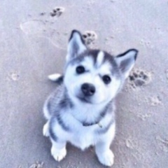 Жадыра Тлешова, 06.09