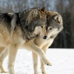 Сергей Наумов, 16.04.1989, Ульяновск