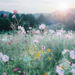 Анна Самохвалова, Екатеринбург