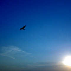 Майя Федорова, 28.02, Санкт-Петербург