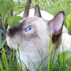 Елена Казакова, 24.08, Санкт-Петербург