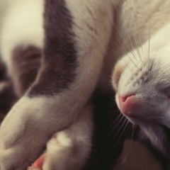 Кристина Разинкова, 14.10, Санкт-Петербург