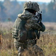 Гоша Морковкин, Полтава