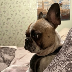 Римма Гершман, Санкт-Петербург