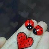 Mireli Mireliyev, 16.05.1995