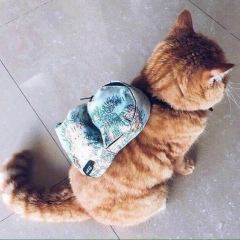 Олесь Викторович