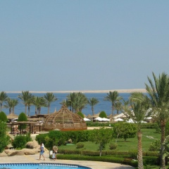 Інна Куйбіда, 24.03, Шаргород