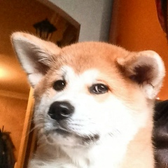 Павел Кузнецов, 13.01.1989, Москва