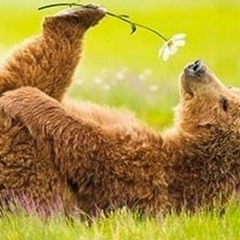 Andrey Plokhotnyuk, 06.10, Одесса