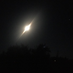 Арман Дандыбаев, 04.11, Алматы