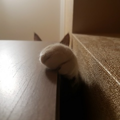 Виктория Седых, 30.04, Москва