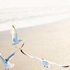 Катя Никифорова, 18.03, Москва