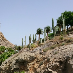 Алексей Волошинов, 21.07, Санкт-Петербург